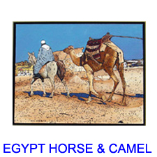 horse and camel